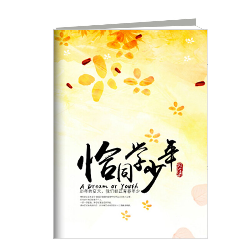 荏苒 激光冲印皮册